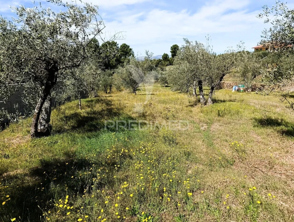 Terreno para Venda em Nossa Senhora da Conceição, São Pedro e São Dinis Foto 3