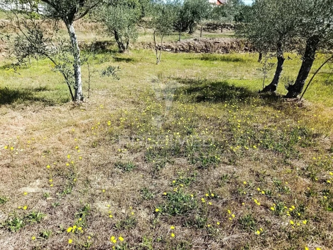Terreno para Venda em Nossa Senhora da Conceição, São Pedro e São Dinis Foto 10