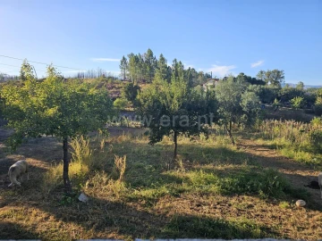 Quinta T2 para Venda em Souto da Casa