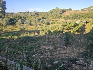 Quinta T2 para Venda em Souto da Casa