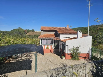 Quinta T2 para Venda em Souto da Casa
