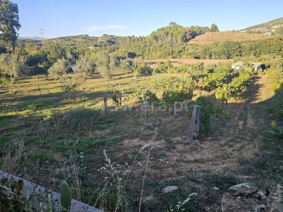 Quinta T2 para Venda em Souto da Casa Foto 18