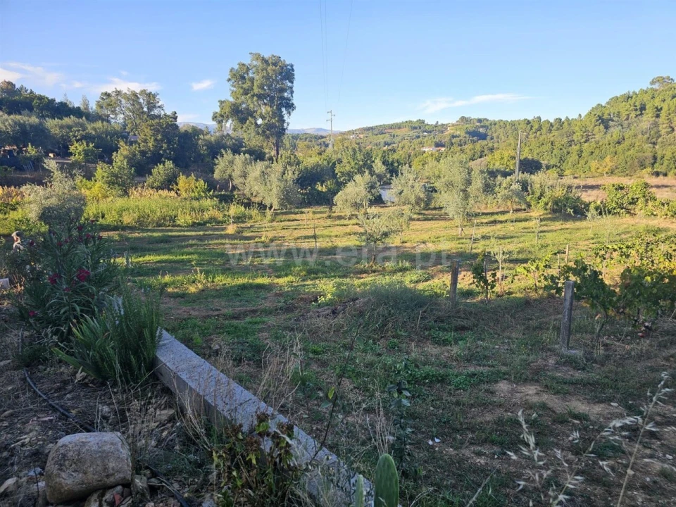 Quinta T2 para Venda em Souto da Casa Foto 19