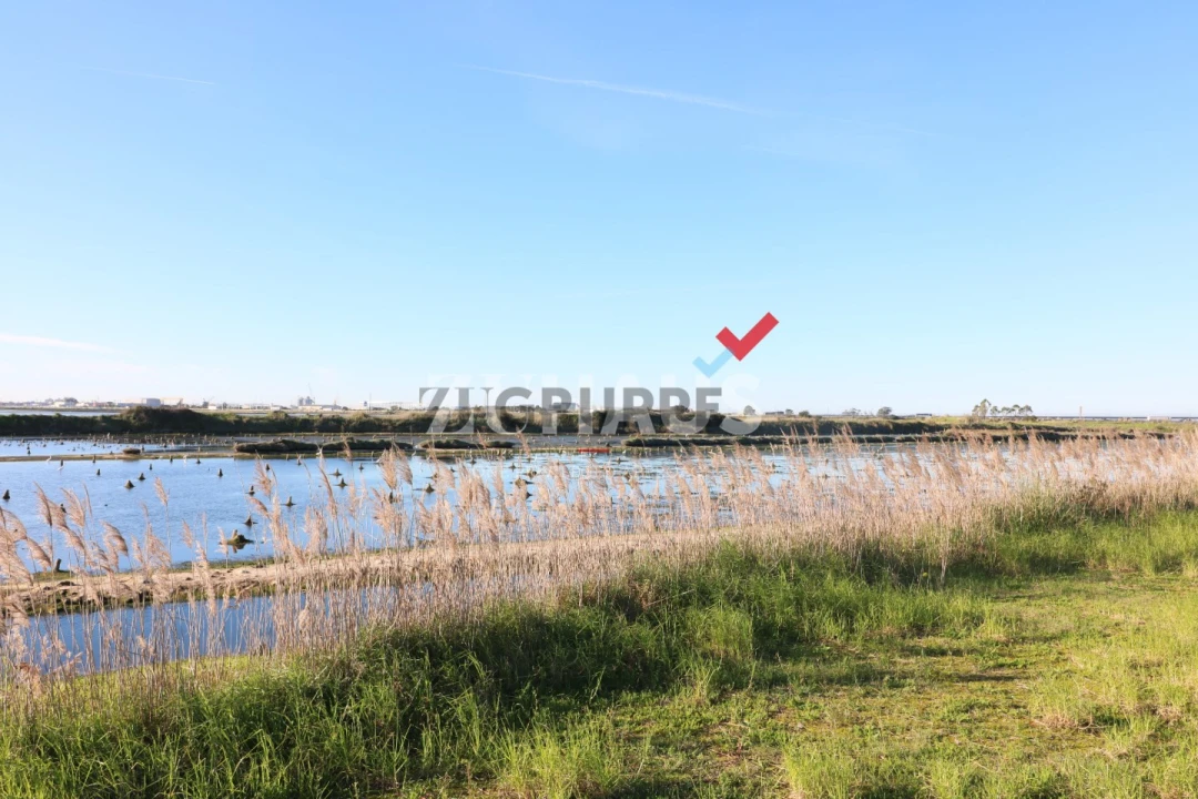 Apartamento T2 para Arrendamento em Glória e Vera Cruz Foto 25