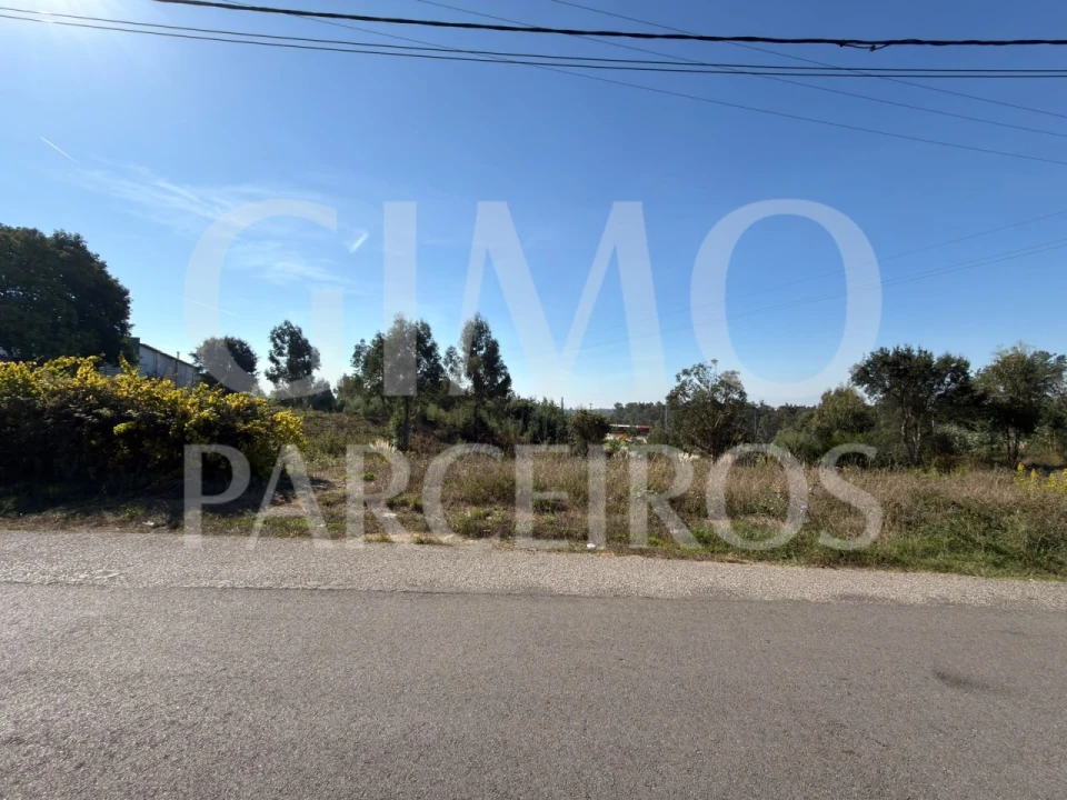 Terreno para Venda em Oiã Foto 1