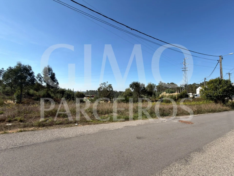 Terreno para Venda em Oiã Foto 2