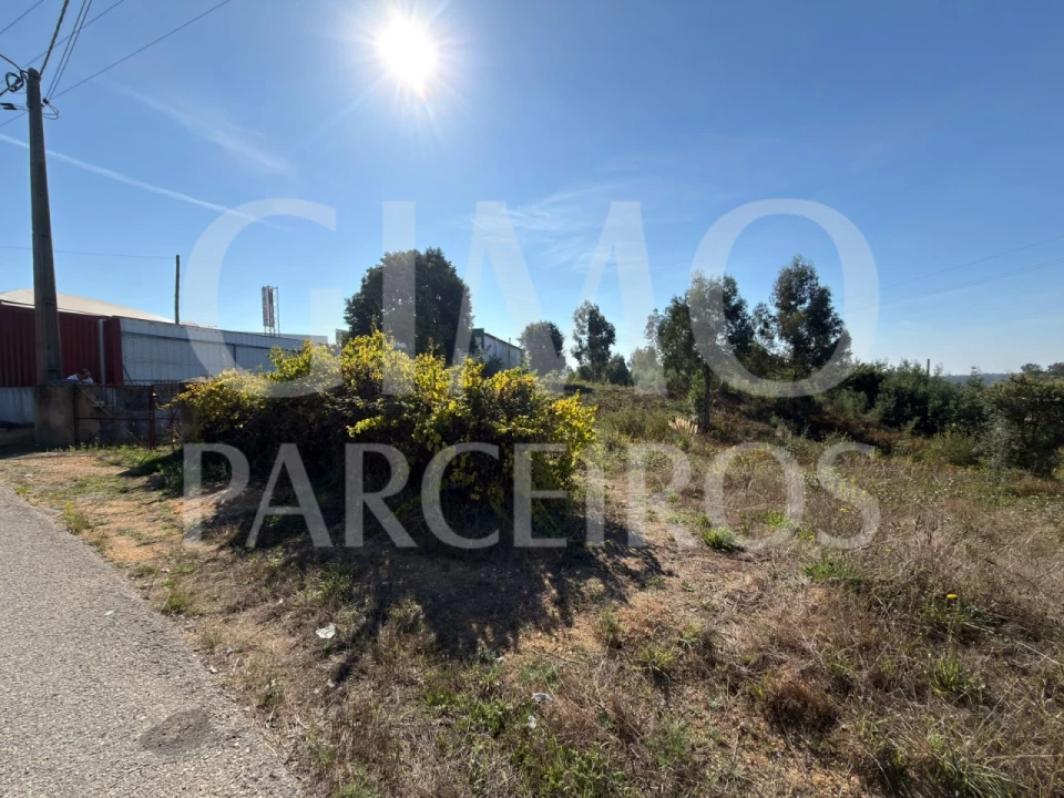 Terreno para Venda em Oiã Foto 3