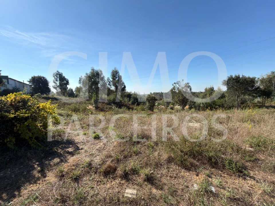 Terreno para Venda em Oiã Foto 4