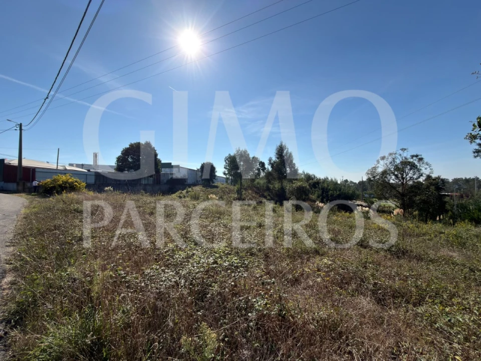 Terreno para Venda em Oiã Foto 5