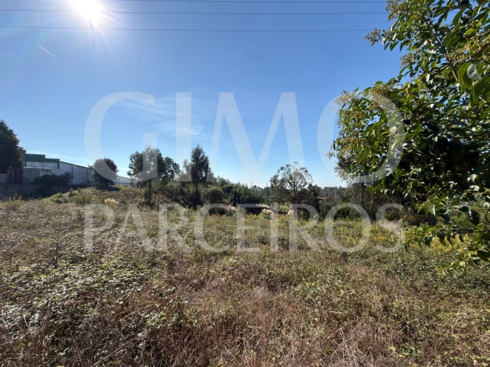 Terreno para Venda em Oiã Foto 6