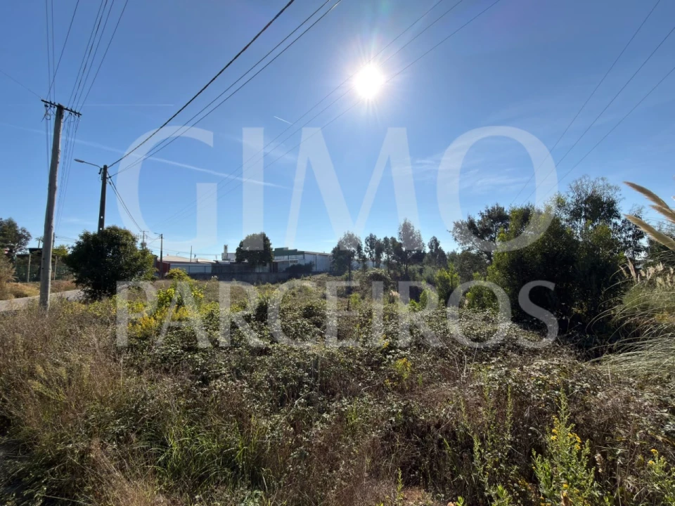 Terreno para Venda em Oiã Foto 7