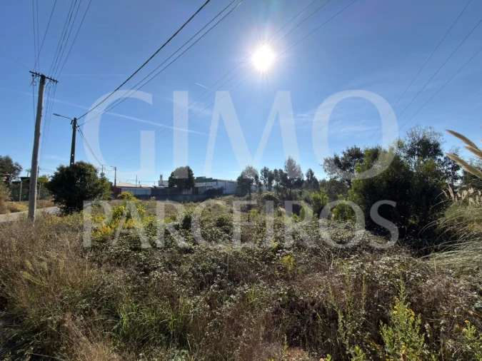 Terreno para Venda em Oiã Foto 7
