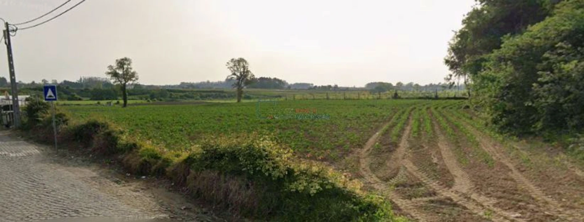 Terreno Agricola ou Rústico para Venda em Aveleda Foto 2