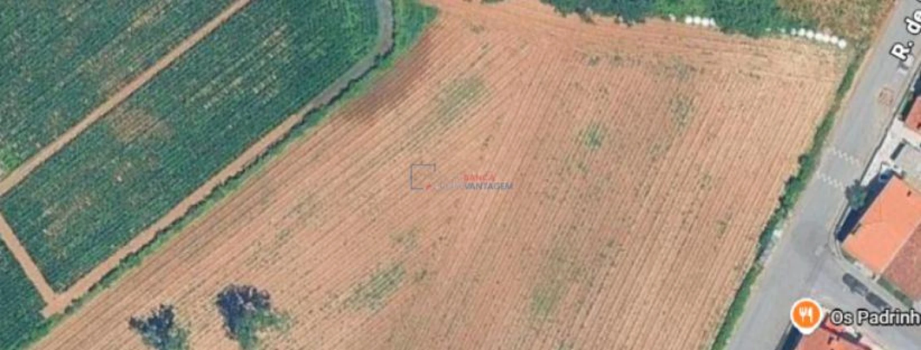 Terreno Agricola ou Rústico para Venda em Aveleda Foto 3