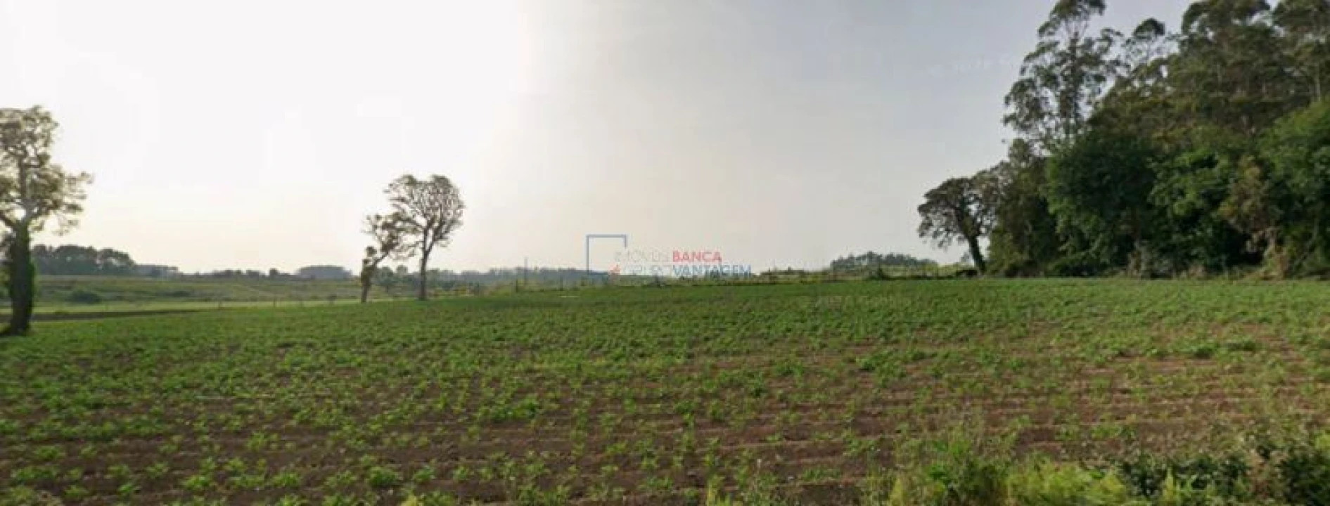 Terreno Agricola ou Rústico para Venda em Aveleda Foto 4