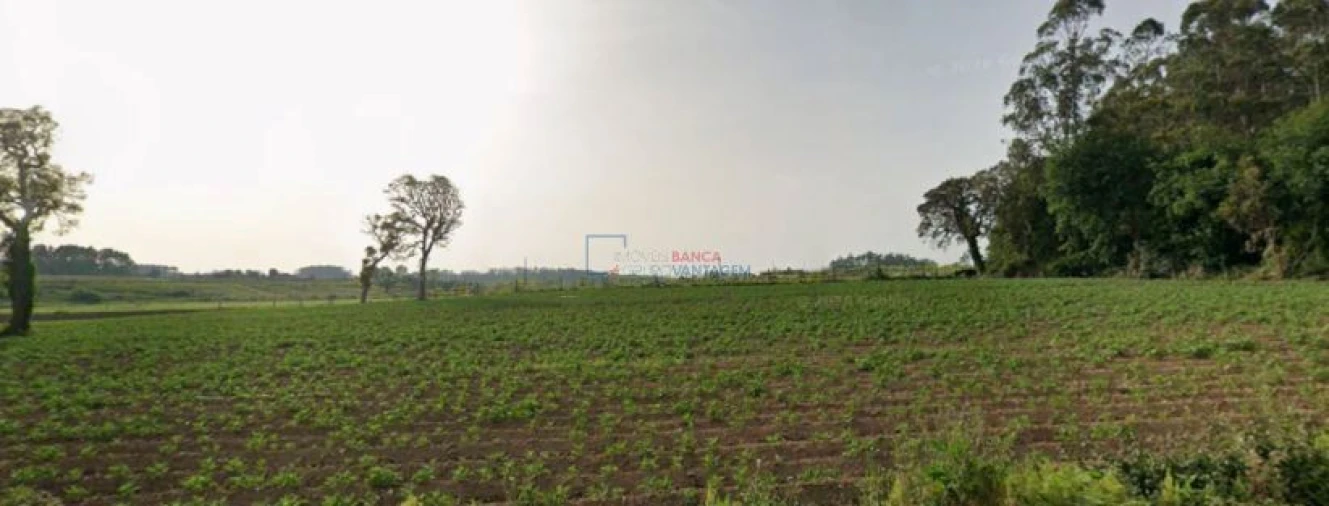 Terreno Agricola ou Rústico para Venda em Aveleda Foto 4