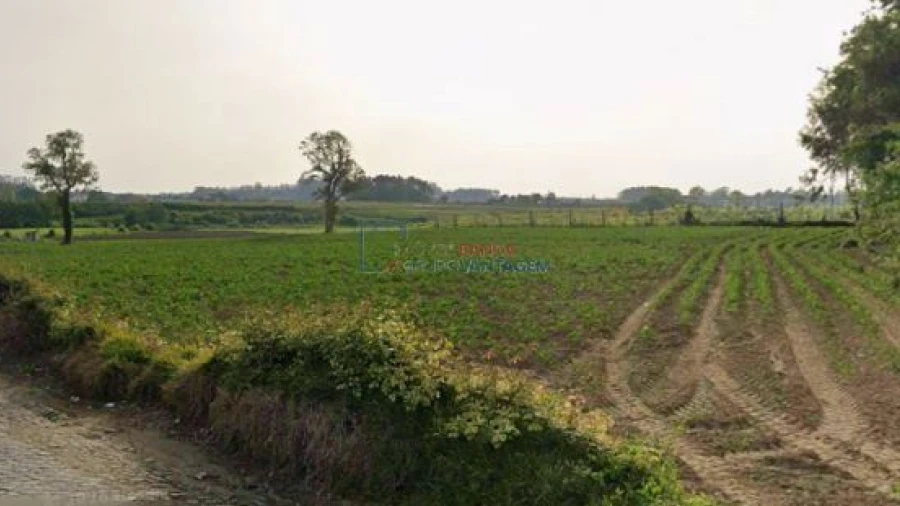 Terreno Agricola ou Rústico para Venda em Aveleda