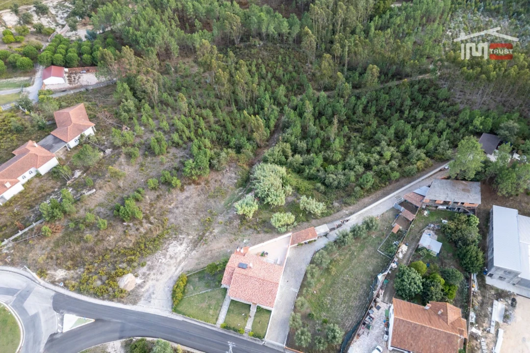 Terreno Agricola ou Rústico para Venda em Juncal Foto 3