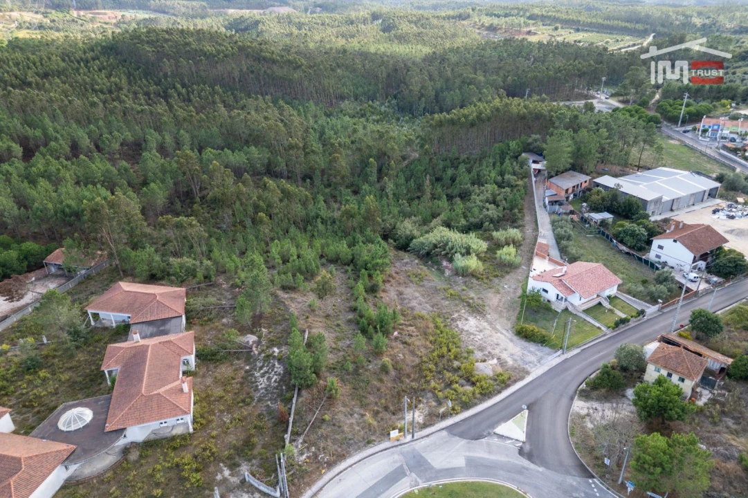 Terreno Agricola ou Rústico para Venda em Juncal Foto 7
