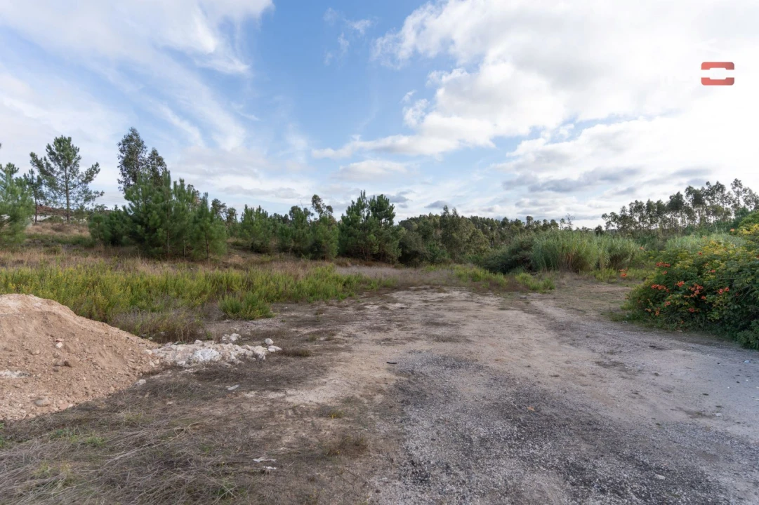 Terreno Agricola ou Rústico para Venda em Juncal Foto 10