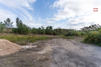 Terreno Agricola ou Rústico para Venda em Juncal