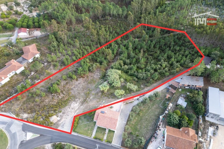 Terreno Agricola ou Rústico para Venda em Juncal Foto 2