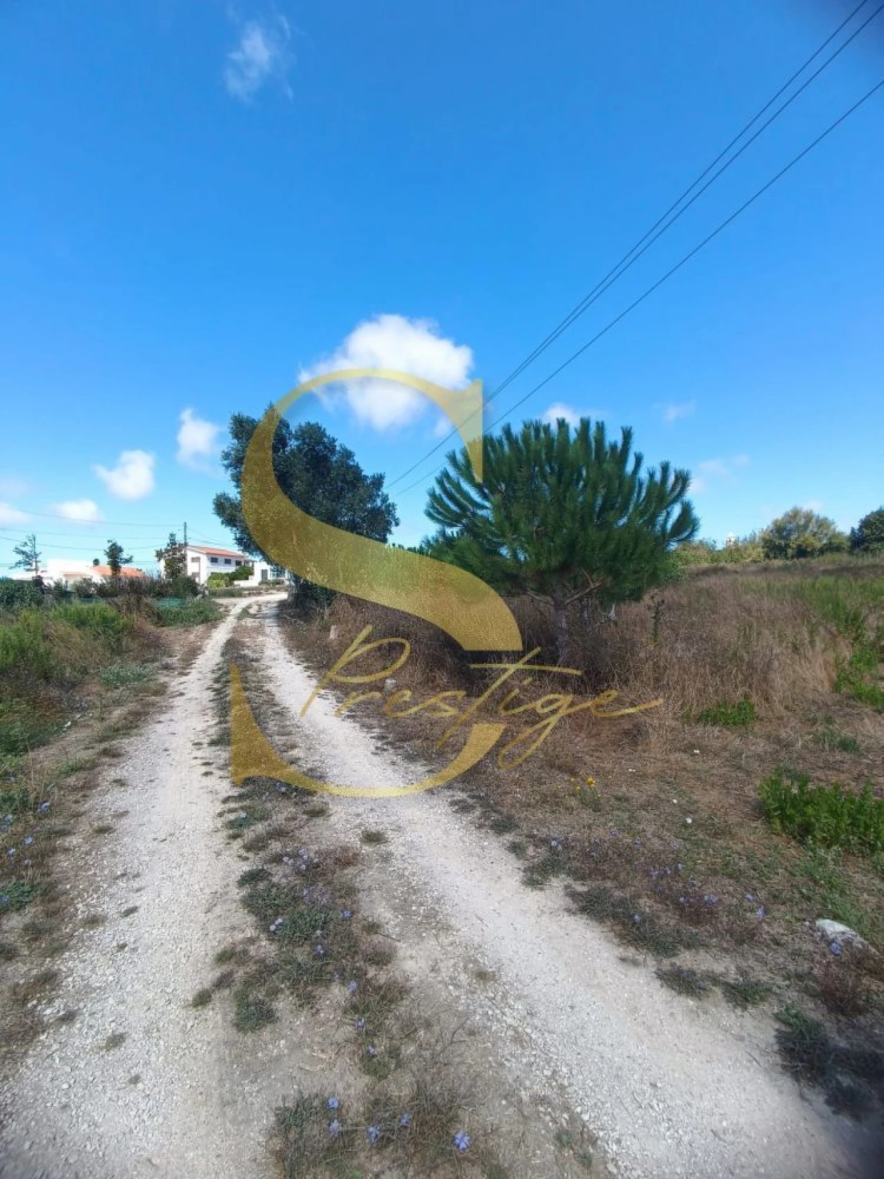Terreno para Venda em Pataias e Martingança Foto 7