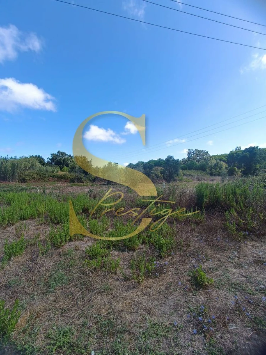 Terreno para Venda em Pataias e Martingança Foto 2