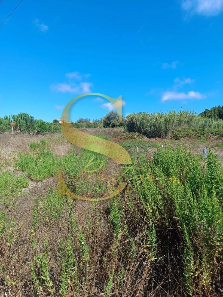 Terreno para Venda em Pataias e Martingança Foto 3