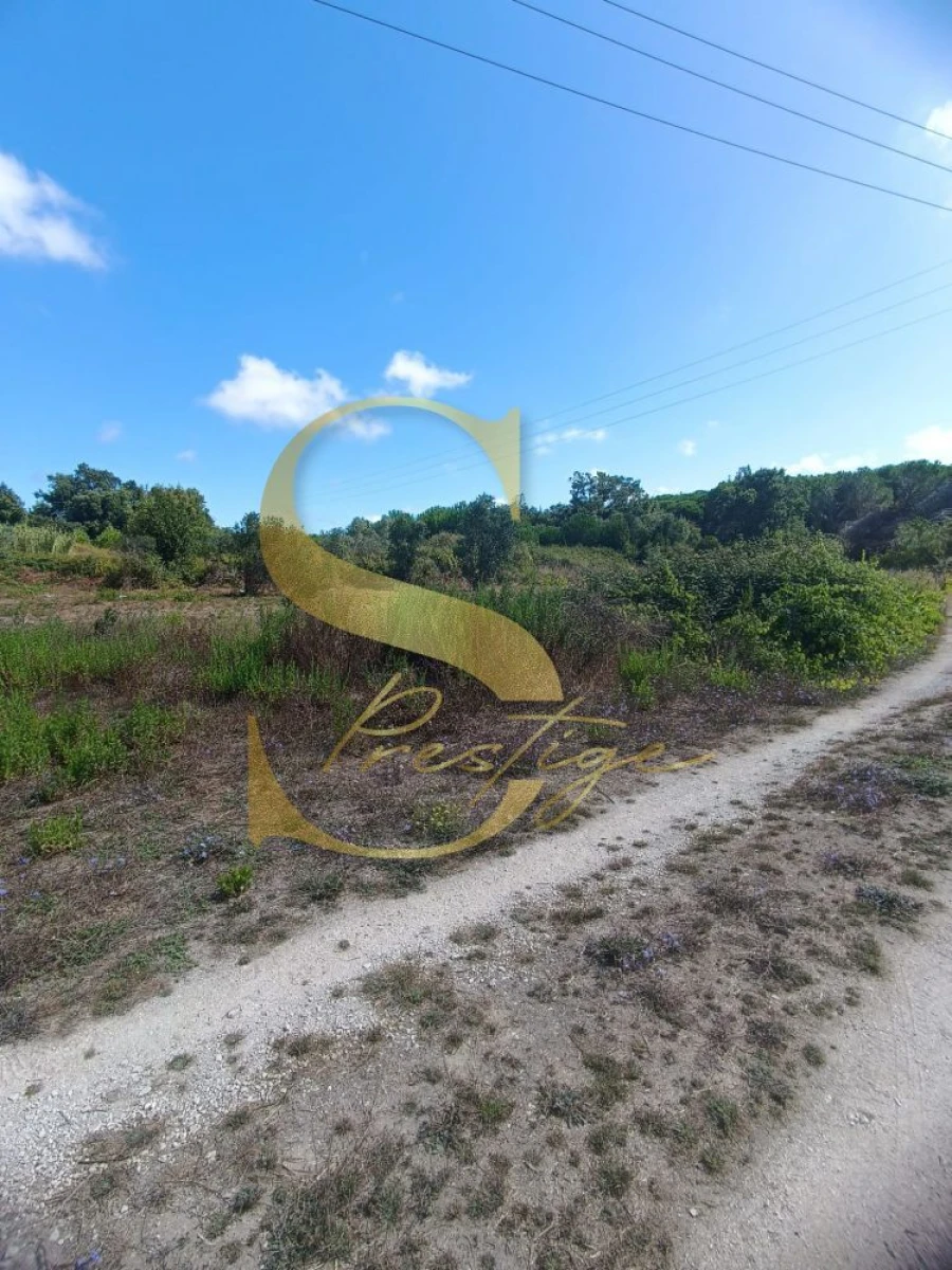 Terreno para Venda em Pataias e Martingança Foto 5