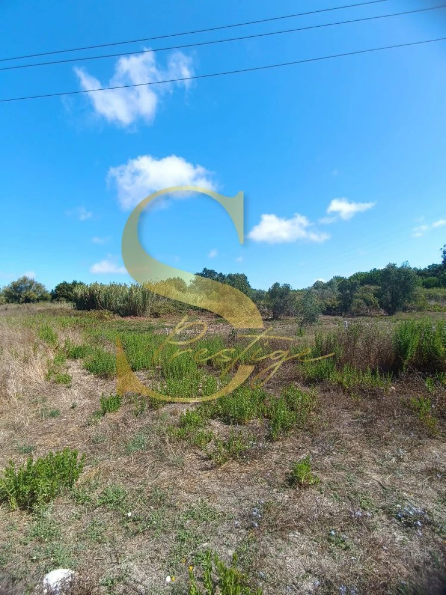 Terreno para Venda em Pataias e Martingança Foto 4