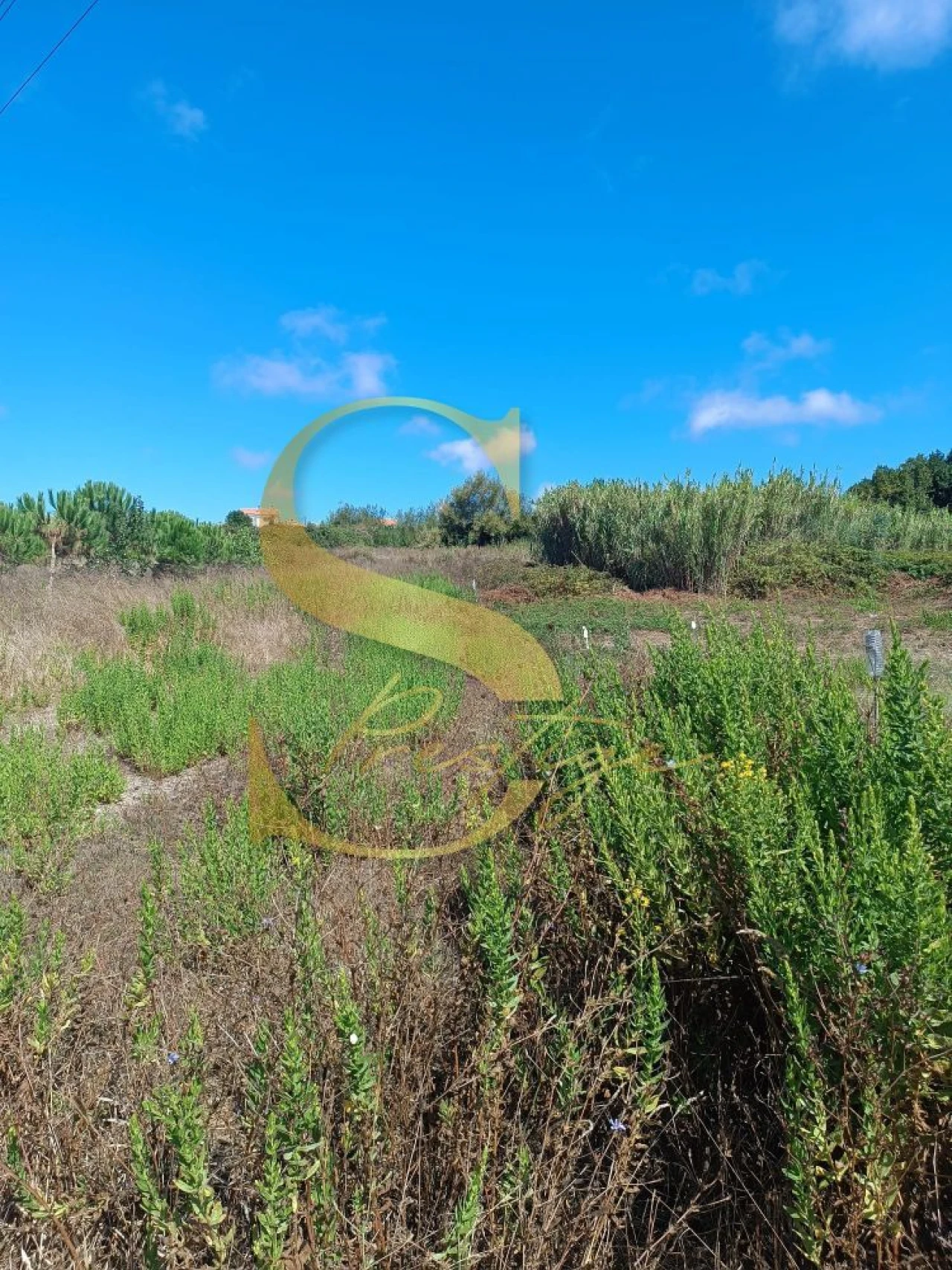 Terreno para Venda em Pataias e Martingança Foto 3