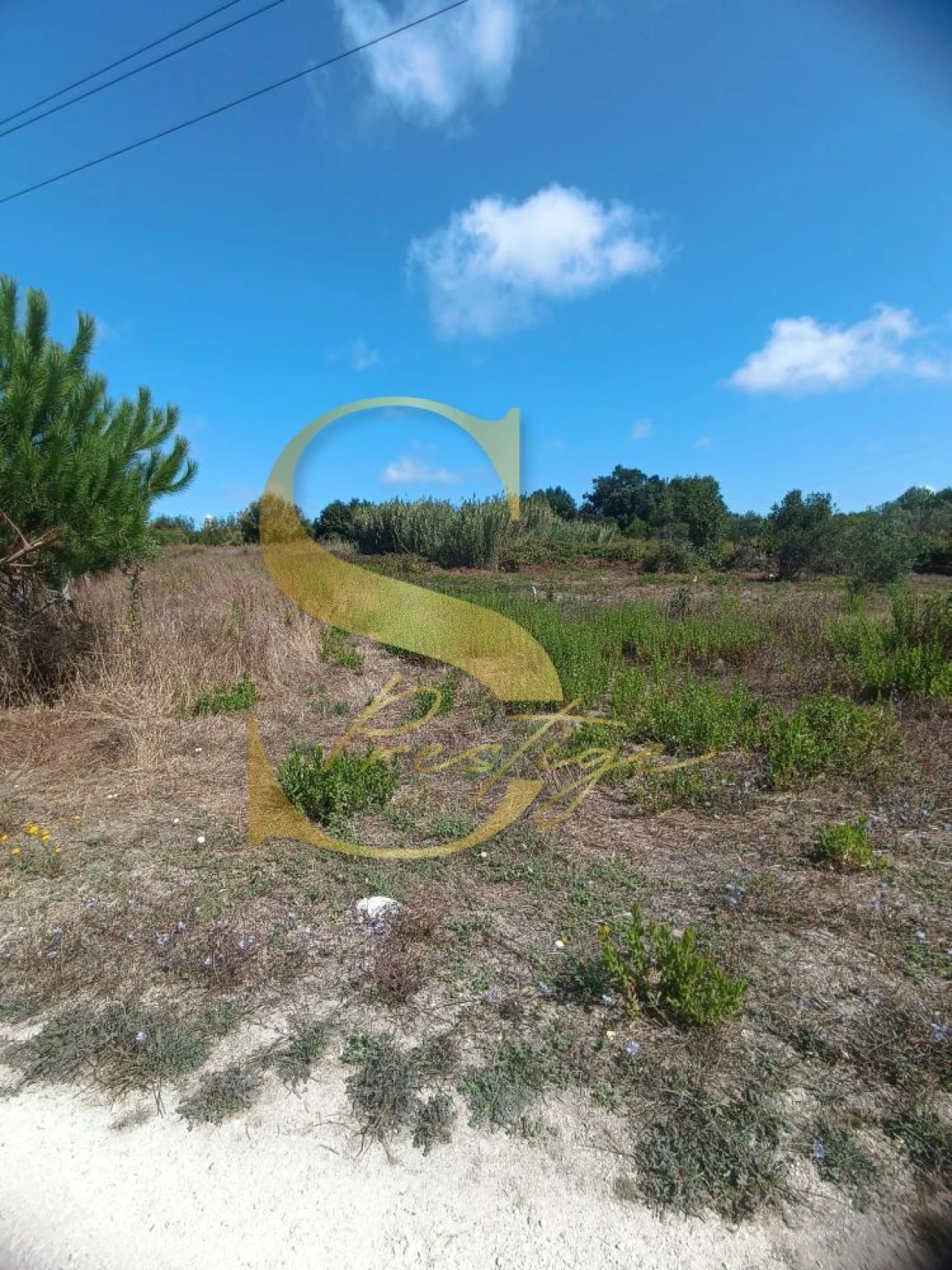 Terreno para Venda em Pataias e Martingança Foto 6