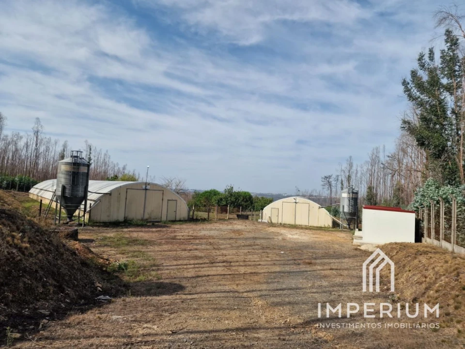 Loja para Trespasse em Albergaria-A-Velha e Valmaior Foto 2