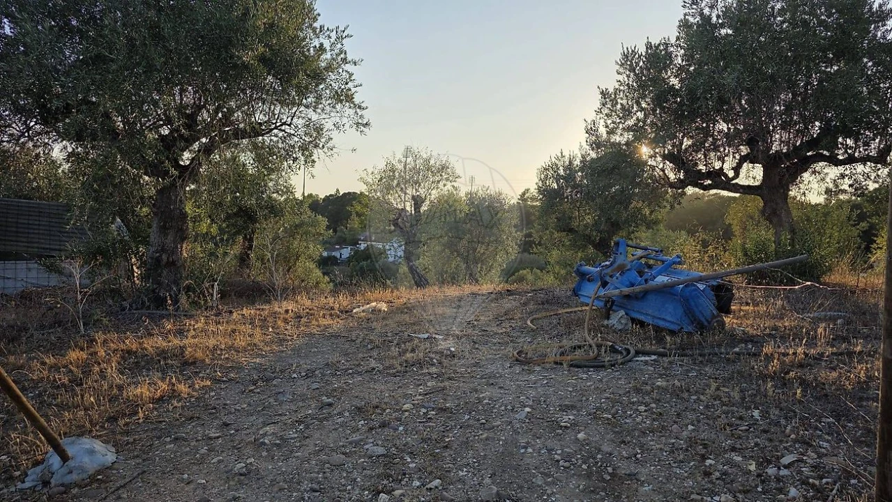 Terreno para Venda em Abrantes (São Vicente e São João) e Alferrarede Foto 2