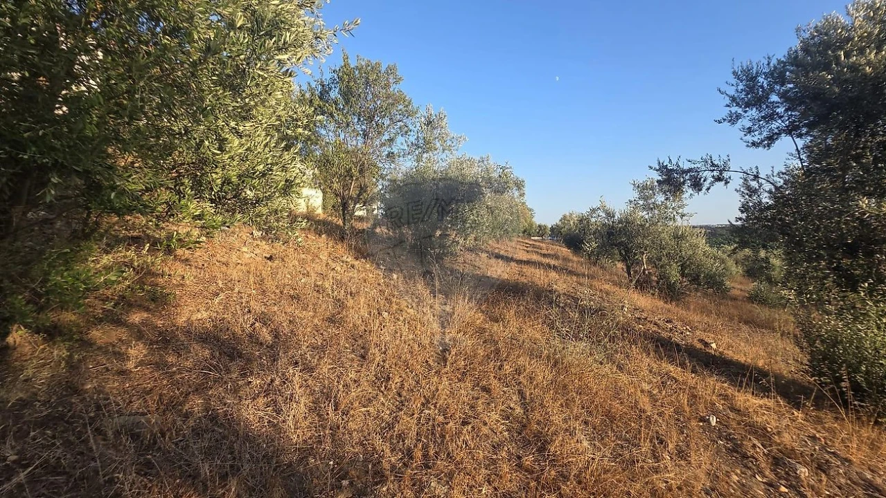 Terreno para Venda em Abrantes (São Vicente e São João) e Alferrarede Foto 8