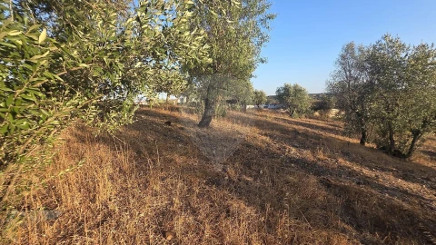 Terreno para Venda em Abrantes (São Vicente e São João) e Alferrarede