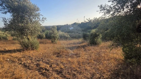Terreno para Venda em Abrantes (São Vicente e São João) e Alferrarede