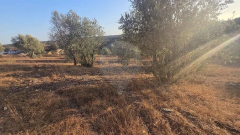 Terreno para Venda em Abrantes (São Vicente e São João) e Alferrarede