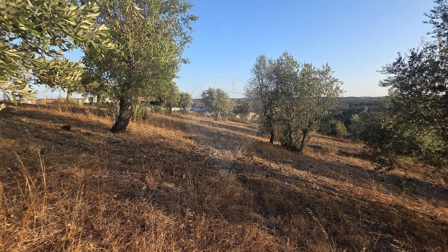 Terreno para Venda em Abrantes (São Vicente e São João) e Alferrarede Foto 4