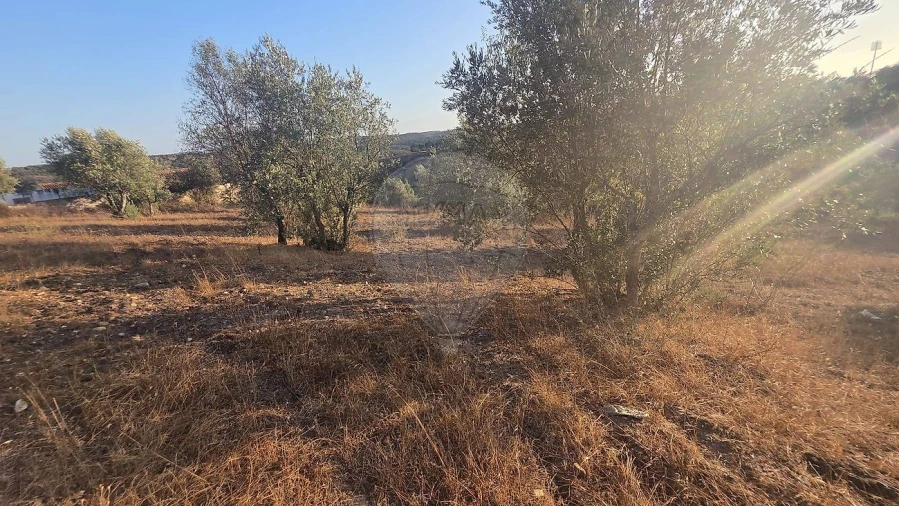 Terreno para Venda em Abrantes (São Vicente e São João) e Alferrarede Foto 6