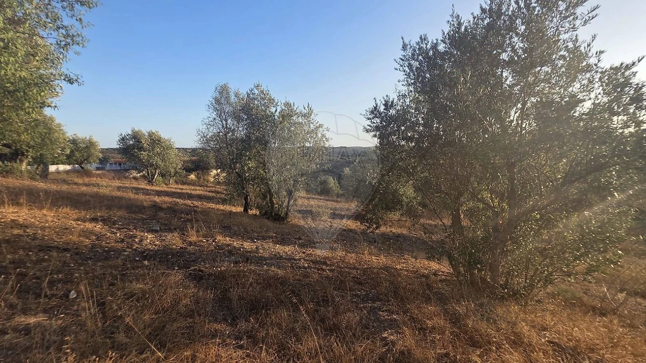 Terreno para Venda em Abrantes (São Vicente e São João) e Alferrarede Foto 3