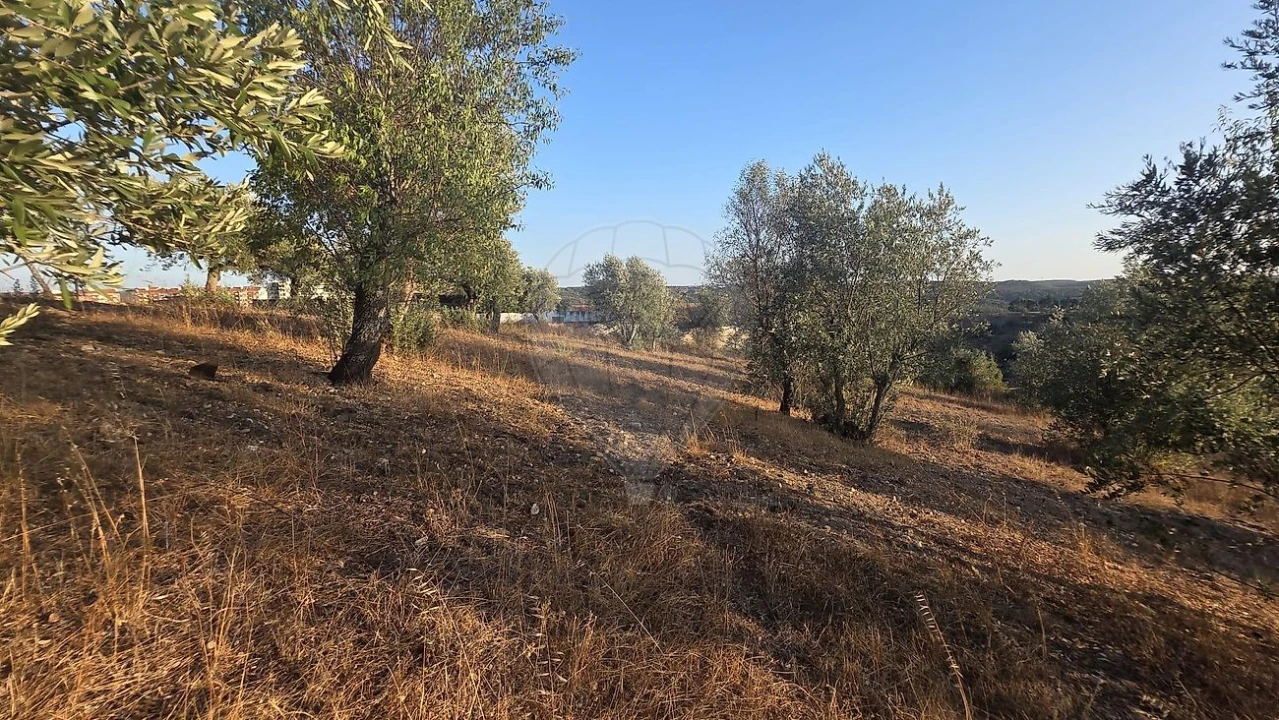 Terreno para Venda em Abrantes (São Vicente e São João) e Alferrarede Foto 1