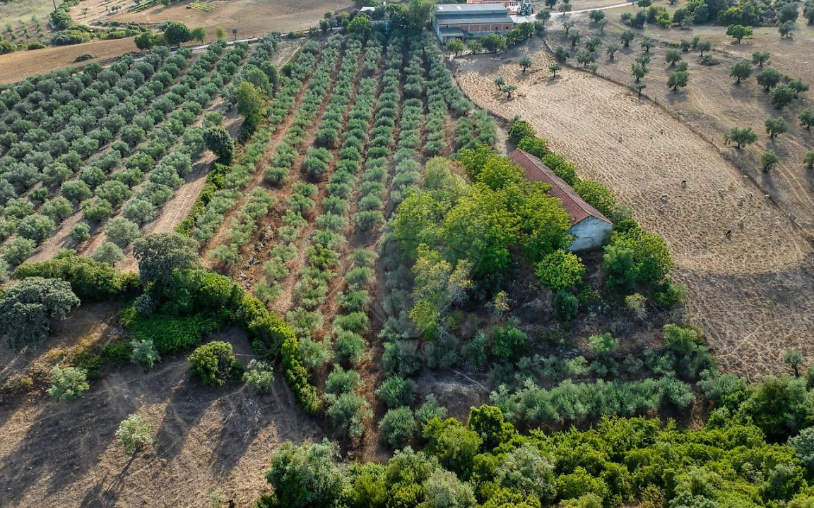 Moradia T4 para Venda em Azoia de Cima e Tremês Foto 19