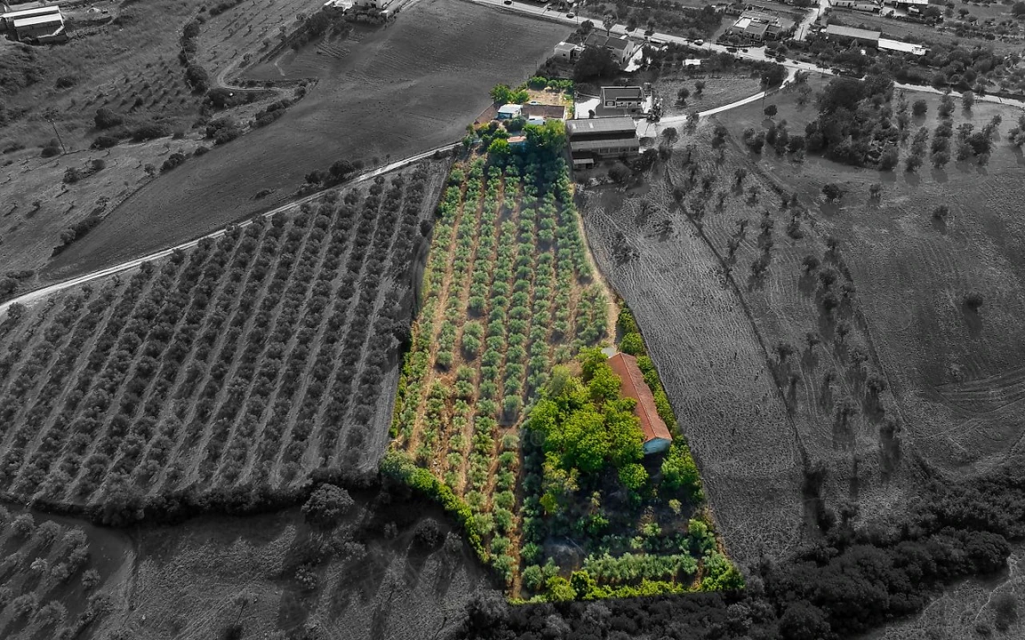 Moradia T4 para Venda em Azoia de Cima e Tremês Foto 3