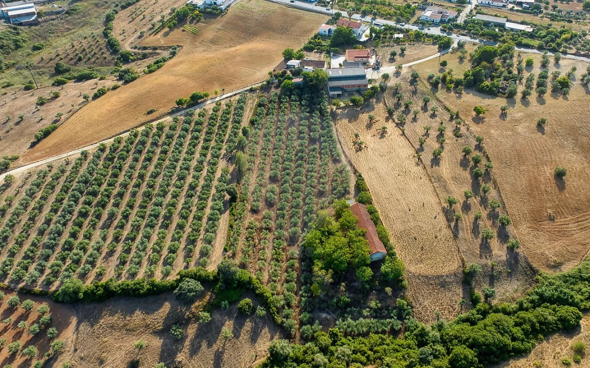 Moradia T4 para Venda em Azoia de Cima e Tremês Foto 5