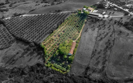 Moradia T4 para Venda em Azoia de Cima e Tremês