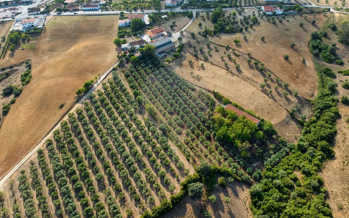 Moradia T4 para Venda em Azoia de Cima e Tremês Foto 4