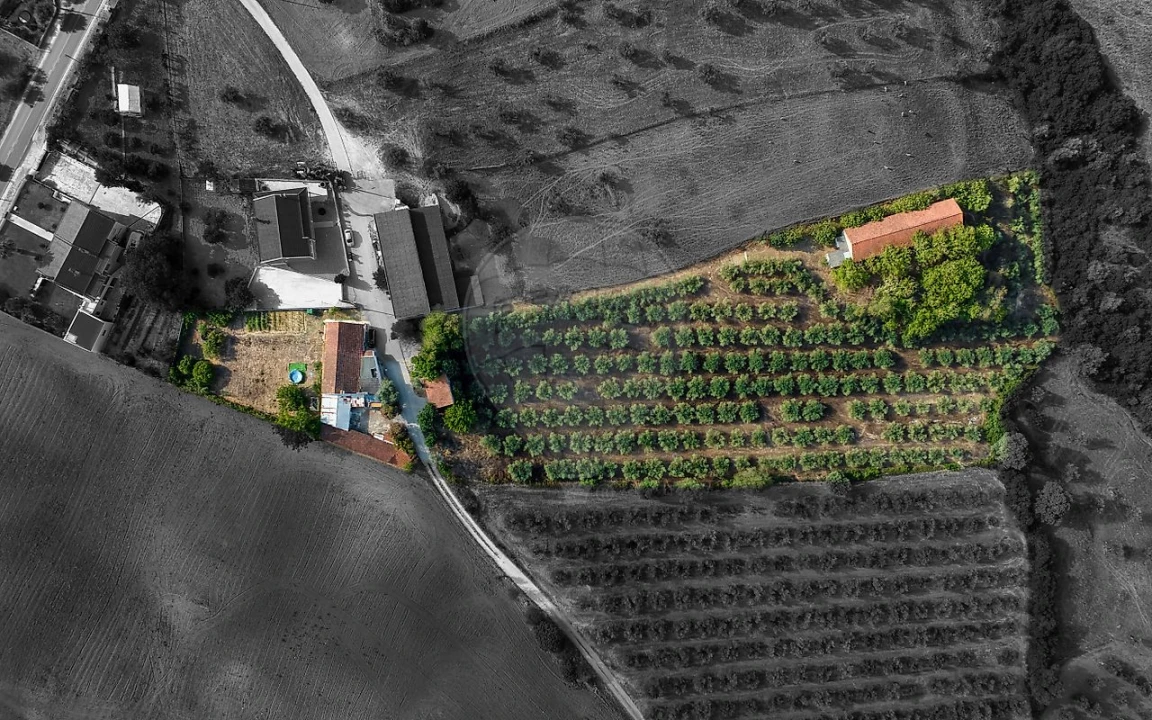 Moradia T4 para Venda em Azoia de Cima e Tremês Foto 10