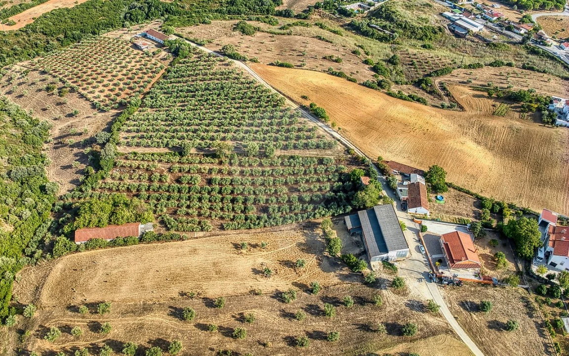 Moradia T4 para Venda em Azoia de Cima e Tremês Foto 8